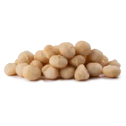 Macadamia