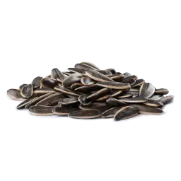 Salted Sunflower Seeds