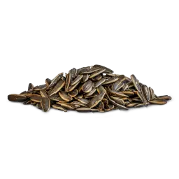 Salt & Vinegar Sunflower Seeds