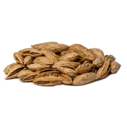 [SK_0154] Uzbek Almonds In Shell
