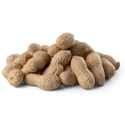 Raw Peanut With Shell