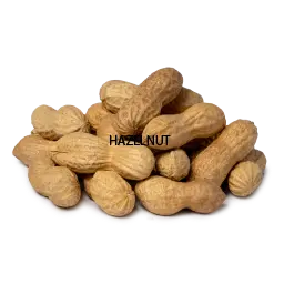 Salted Peanut With Shell