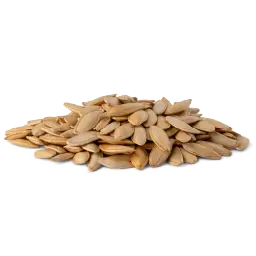 لب ابيض (قرع) - ملح خفيف