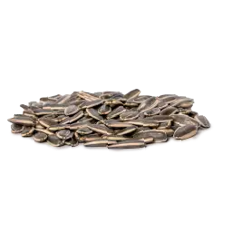 Raw Sunflower Seeds
