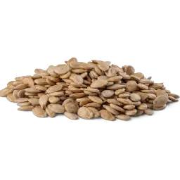 Salted Super Seeds