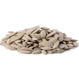 Salted White Pumpkin Seeds