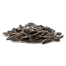 Unsalted Sunflower Seeds